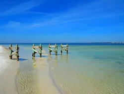 People playing at the Beach